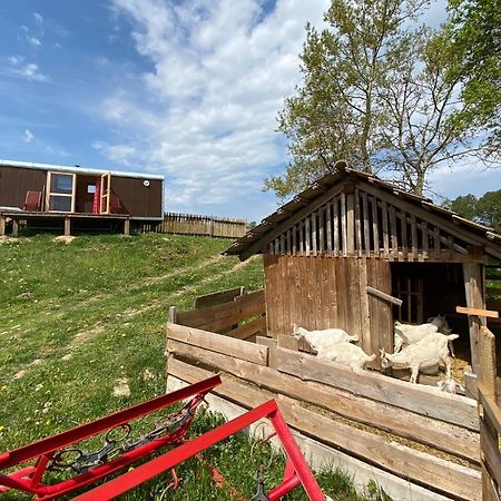 Maringotka Na Samote Na Kozi Farme Hotel Pobezovice Exterior photo